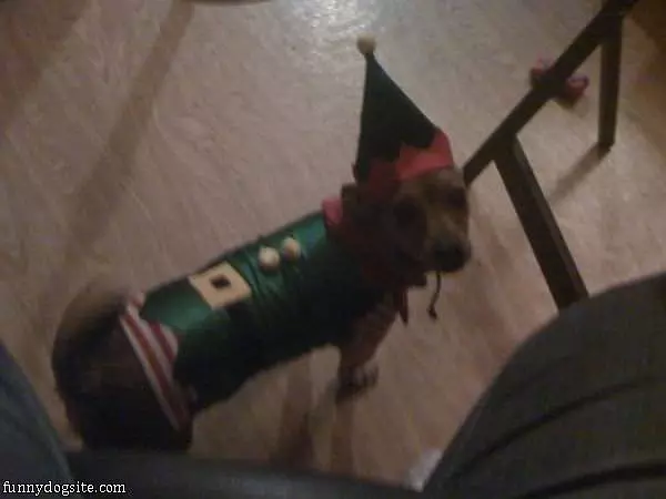 Elf