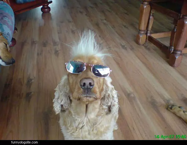 Bonnie Nice Glasses