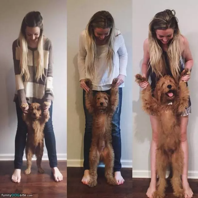 Bigger Bigger Bigger