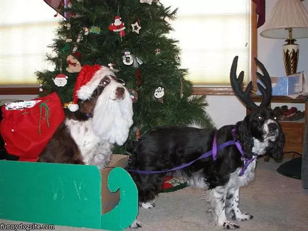 Santa Is Coming