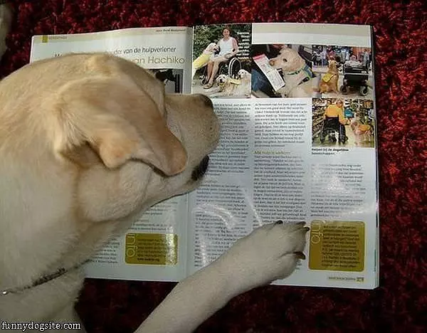 Good Magazine