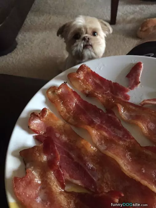 Yes I Would Eat That
