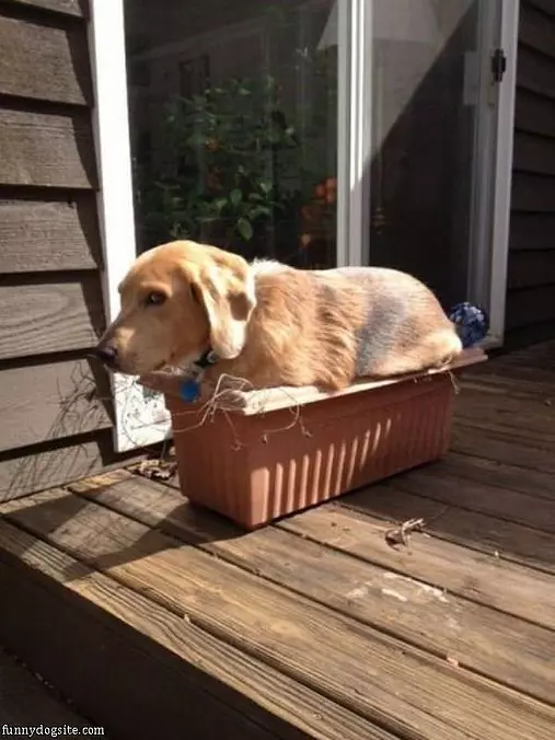 I Fits And I Sits
