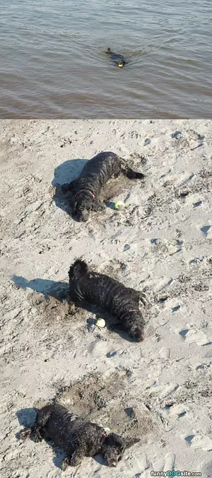 Day At The Beach