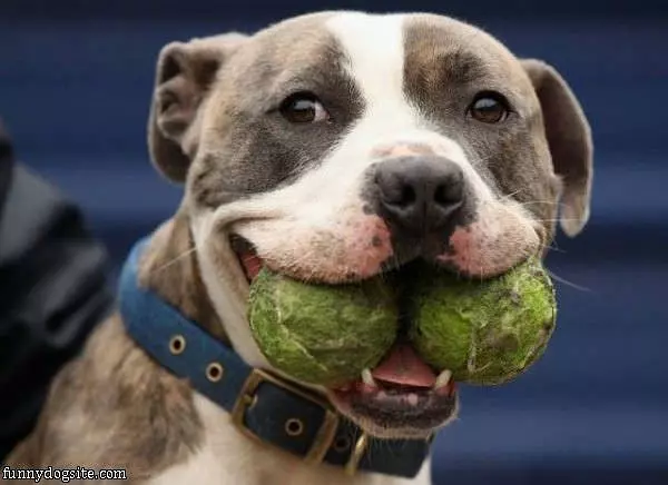 Double Fetch