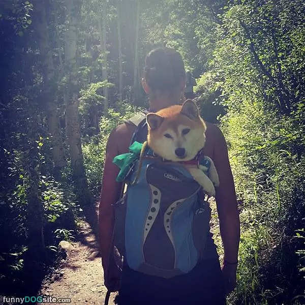 Easier Than Walking