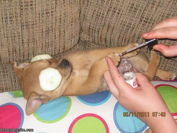 Pampering