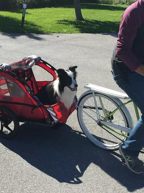 Going On A Bike Ride