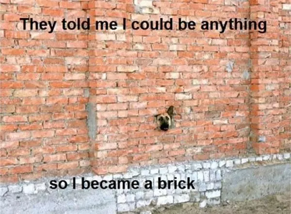 Told Me I Could Be Anything