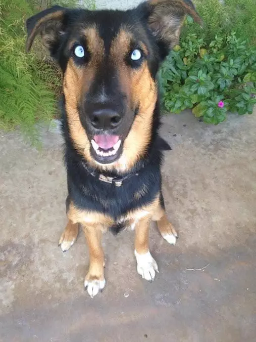 Such Blue Eyes