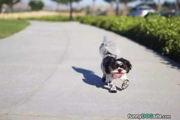 Floppy Tongue