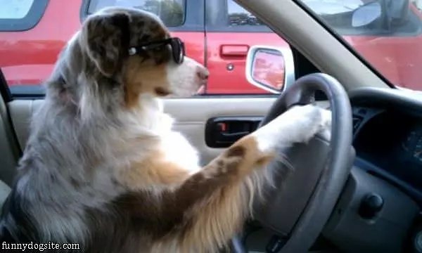 Colby Driving