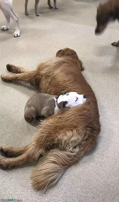 So Tired