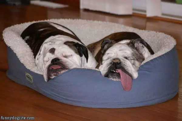 We Need Sleep