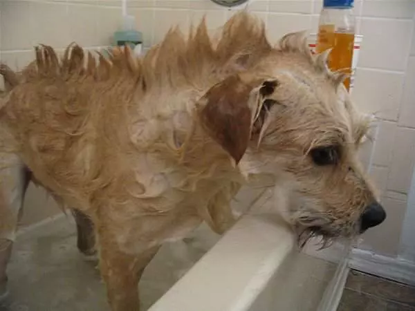 Bath Time