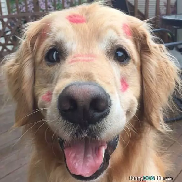 I Got Kisses