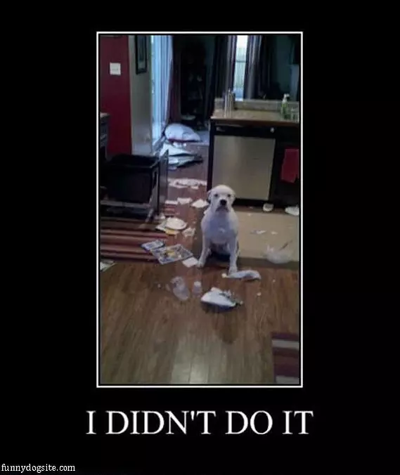 I Didnt Do It