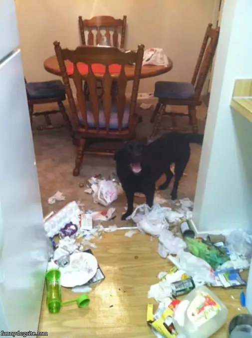 Clean That Mess Up