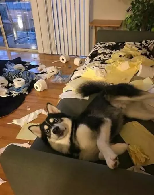 Made A Little Mess