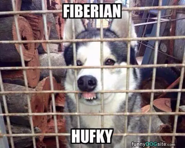 Hufky