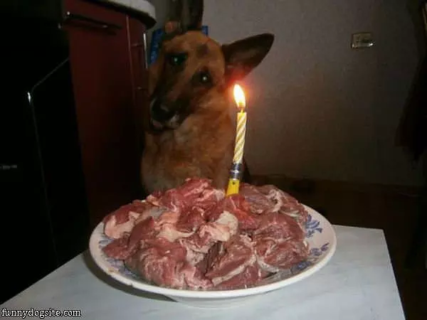 Best Birthday Ever