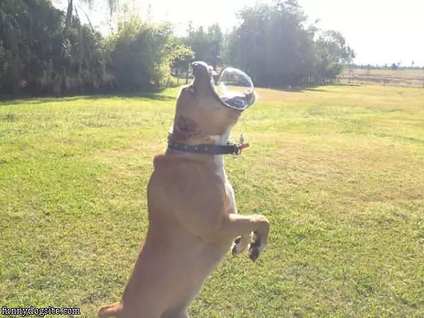 Bubble Buster
