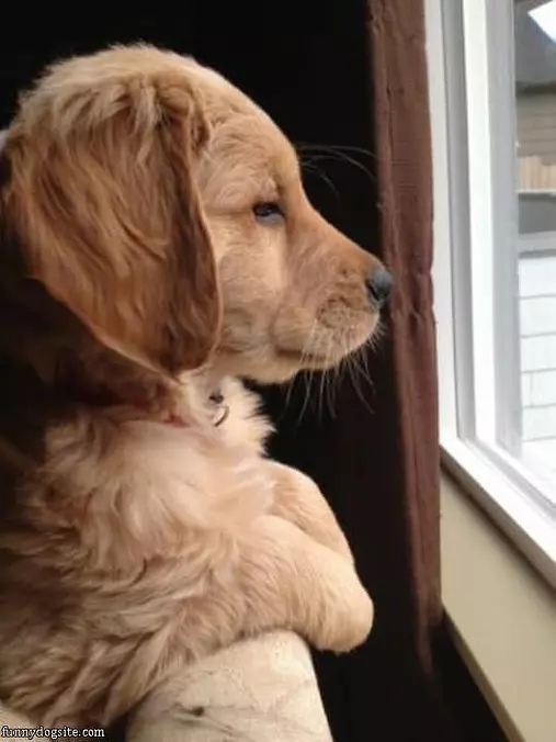 Big World Out There