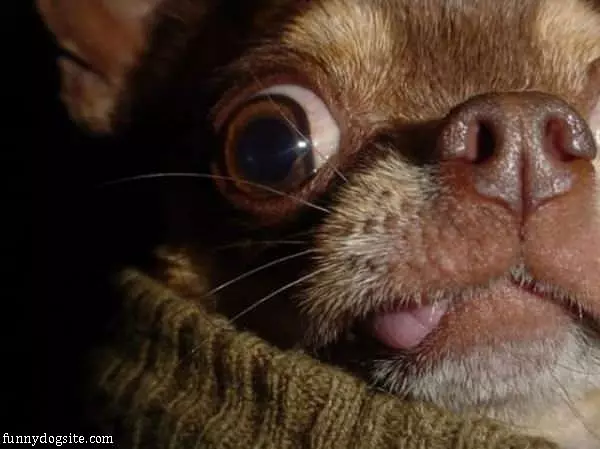 Extreme Closeup