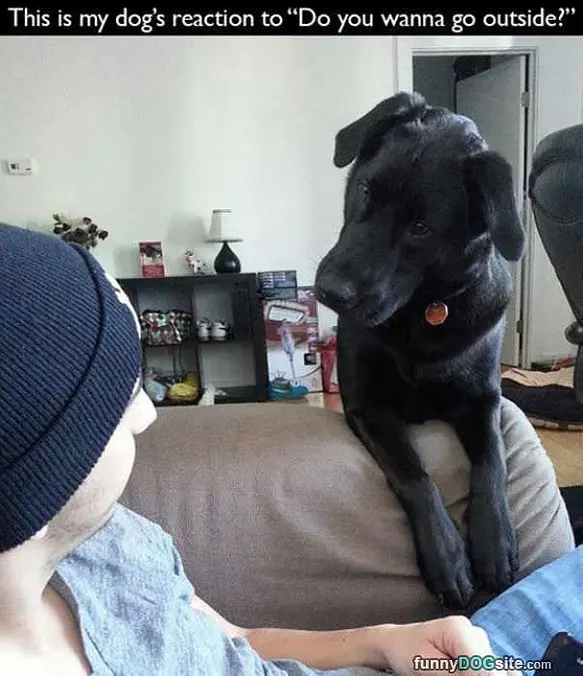 Wanna Go Outside