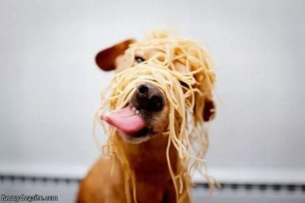 Spaghettis