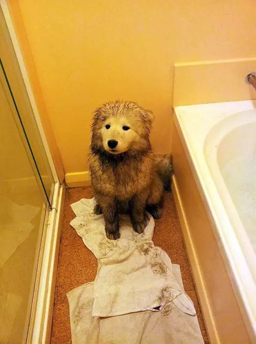 Time For My Bath Now