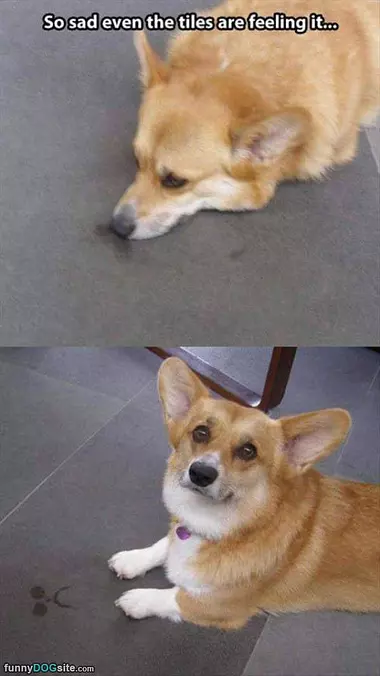 So Sad