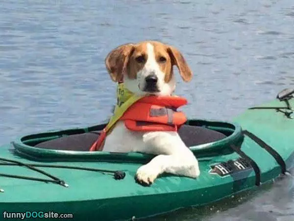 Out On A Kayaking Trip