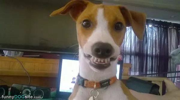 Grrrrrrrr Smile