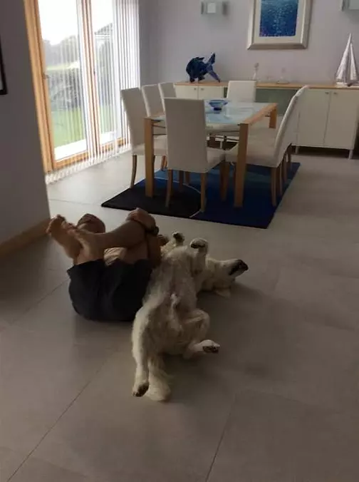 The Boys Are Exercising