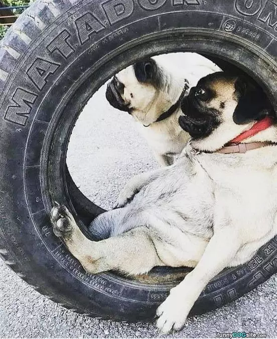 Heyyyyyyyo
