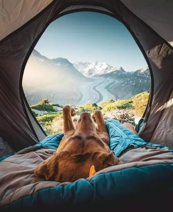 In A Tent Relaxing