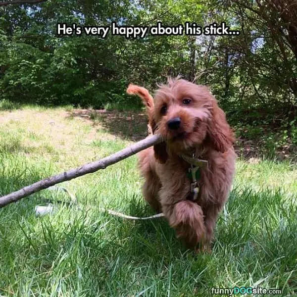 He Is Very Happy