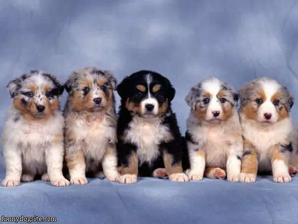 Family Photo
