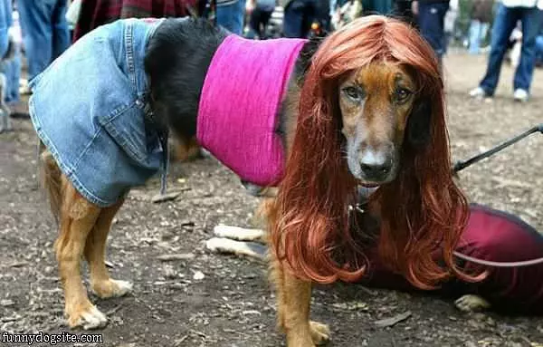 Dressed Up For A Party