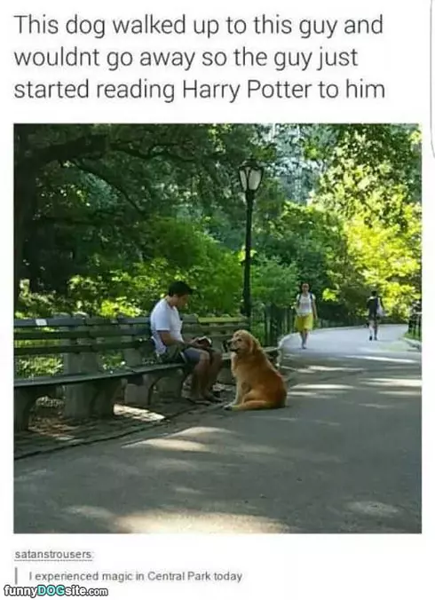 Would Not Go Away