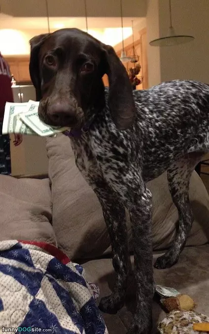 I Found The Money