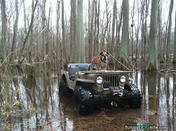 Oscar On His 1946 Willys