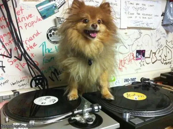 Super Dj