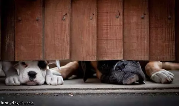 We Are Watching You