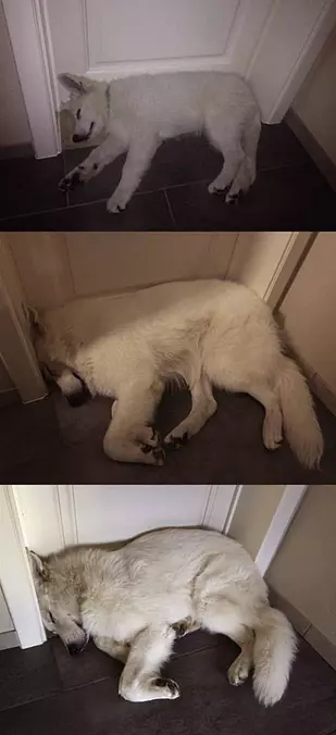 I Used To Fit Here