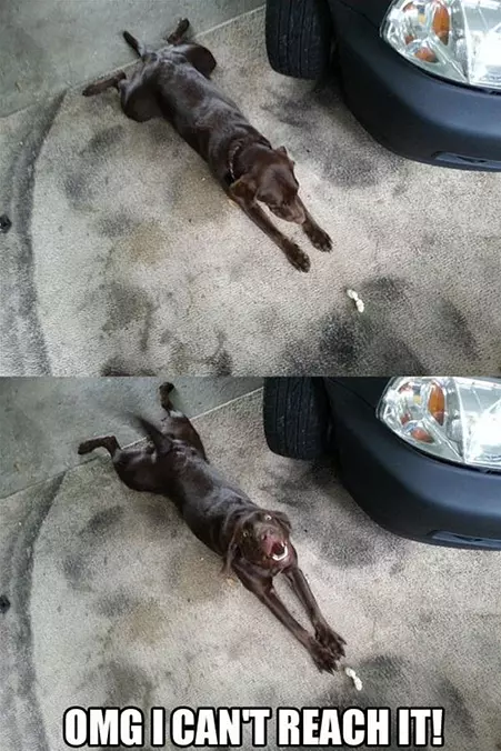 Cant Reach It
