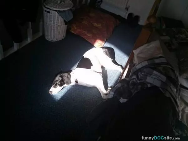 I Found The Warm Spot