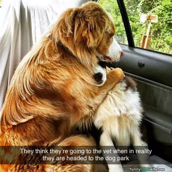 Headed To The Park