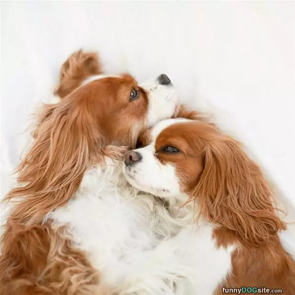 Hugging It Out